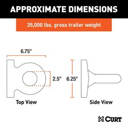 CURT 35000 lb. cap. Lunette Ring