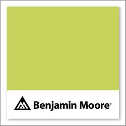 Benjamin Moore Electric Slide 404