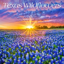 BrownTrout Publishers Texas Wildflowers 2026 Calendar