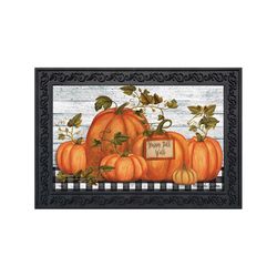 Briarwood Lane 30 in. W X 18 in. L Multi-Color Happy Fall Y'all Farmhouse Polyester Door Mat