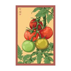 Chive Shido Seed Co. Beefsteak Tomato Seeds 1 pk