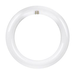 Feit Plug & Play T9 Cool White 8 in. G10Q Circular LED Bulb 22 Watt Equivalence 1 pk