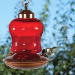 Audubon Hummingbird 14 oz Glass/Metal Bottle Nectar Bird Feeder 3 ports