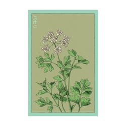Chive Shido Seed Co Parsley Seeds 1 pk