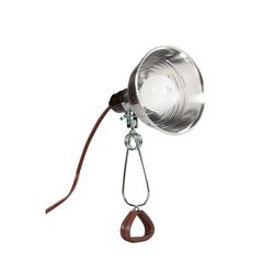 Projex 6.5 in. 60 W Incandescent Clamp Lamp