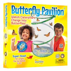 Insect Lore Butterfly Pavilion Growing Kit with Voucher Multicolored