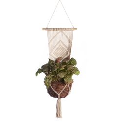 Primitive Planters White Cotton 39 in. H Diamond Plant Hanger 1 pk