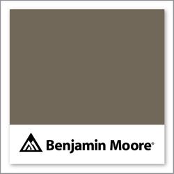 Benjamin Moore Dash Of Pepper 1554