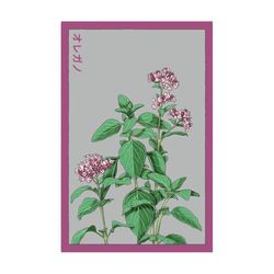 Chive Shido Seed Co. Oregano Seeds 1 pk