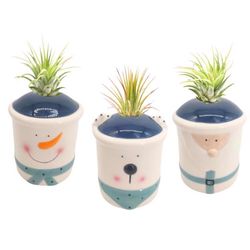 Russell's Bromeliads Winter Planter Collection Ceramic Air Plant
