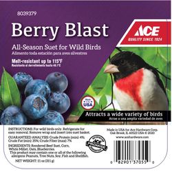 Ace Berry Blast Suet 11 oz