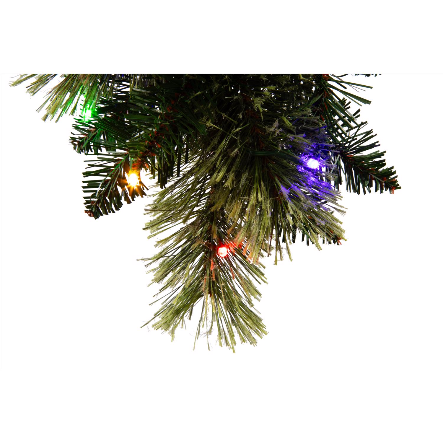 image-3