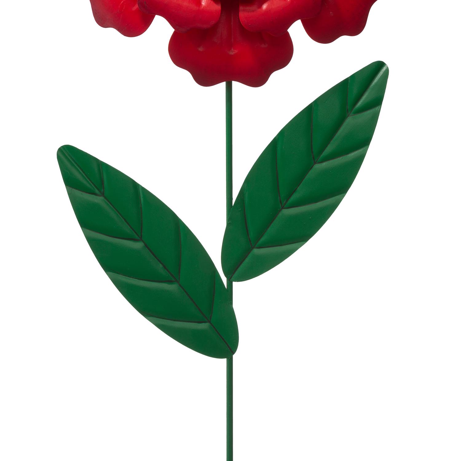 image-5