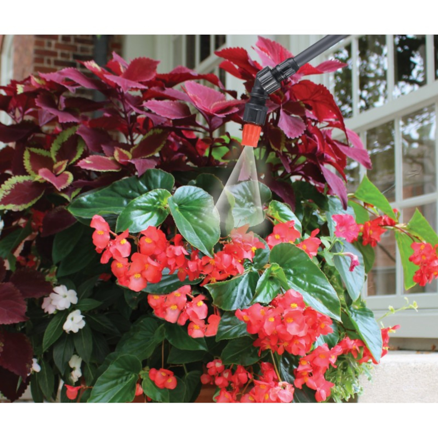 image-5
