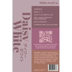 Chive Shido Seed Co. Daisy Seeds 1 pk