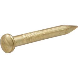 HILLMAN OOK Brass-Plated Brick Picture Hanging Nails 20 lb 10 pk