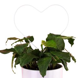 Mossify 18 in. H X 5.75 in. W X 11.75 in. D White Metal Planter Trellis