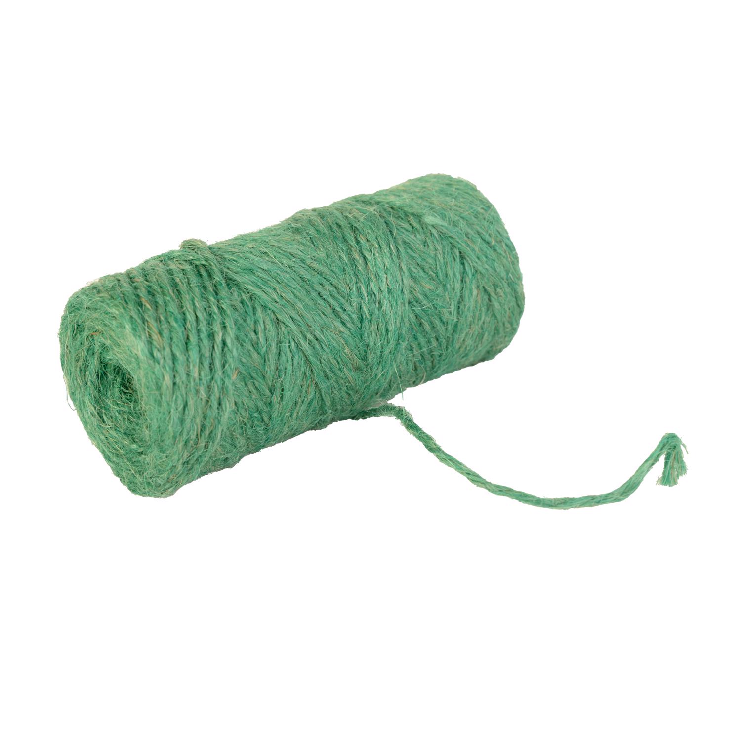 image-2