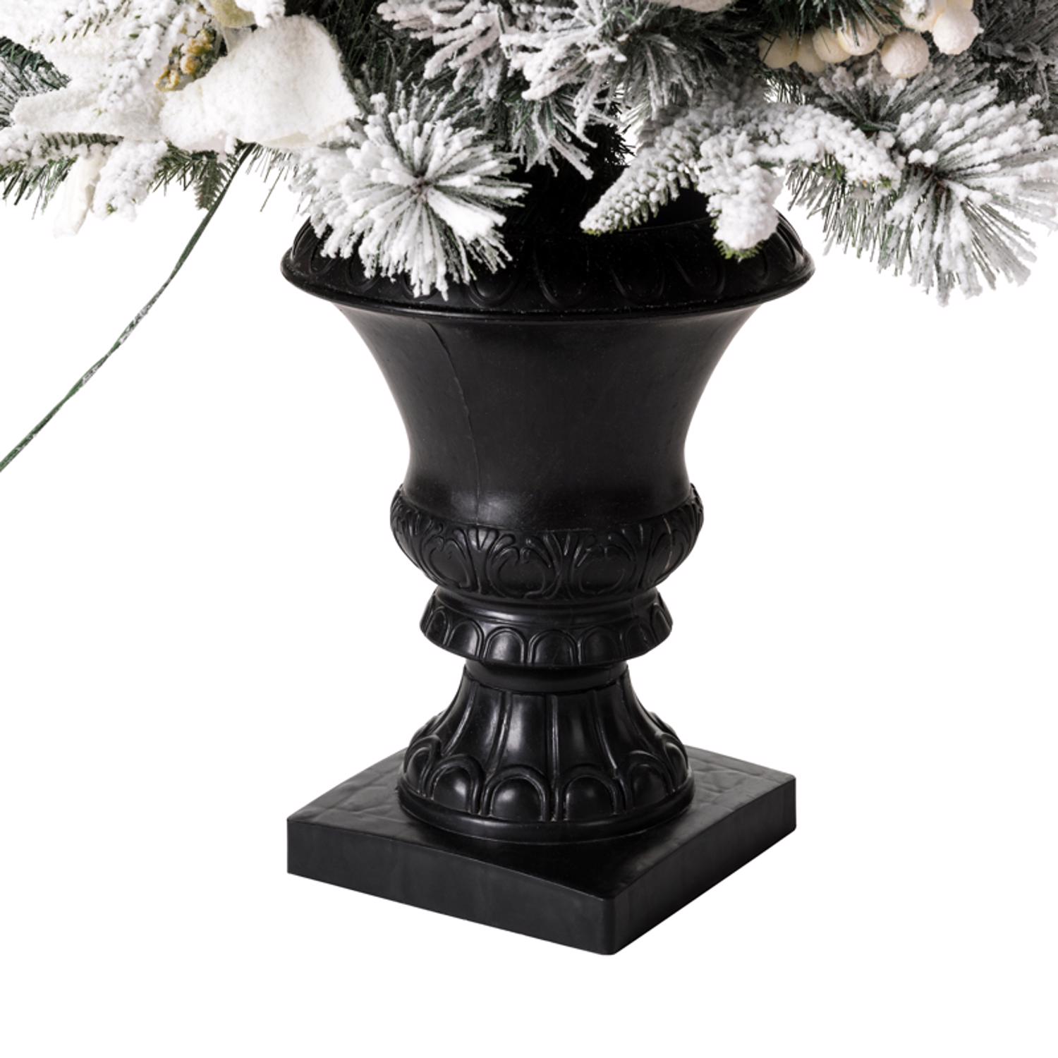 image-4