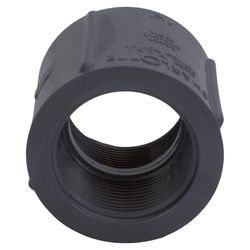 Charlotte Pipe Schedule 80 1 in. FPT X 1 in. D FPT PVC Coupling 1 pk