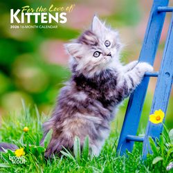 BrownTrout Publishers 2026 Mini 7X7 .1 in. H X 7 in. L Multicolored Paper Kittens For the Love Calen