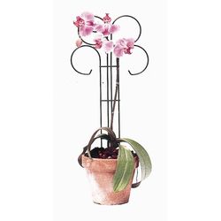Bosmere 24 in. H X 10 in. W Black Wire Plant Support