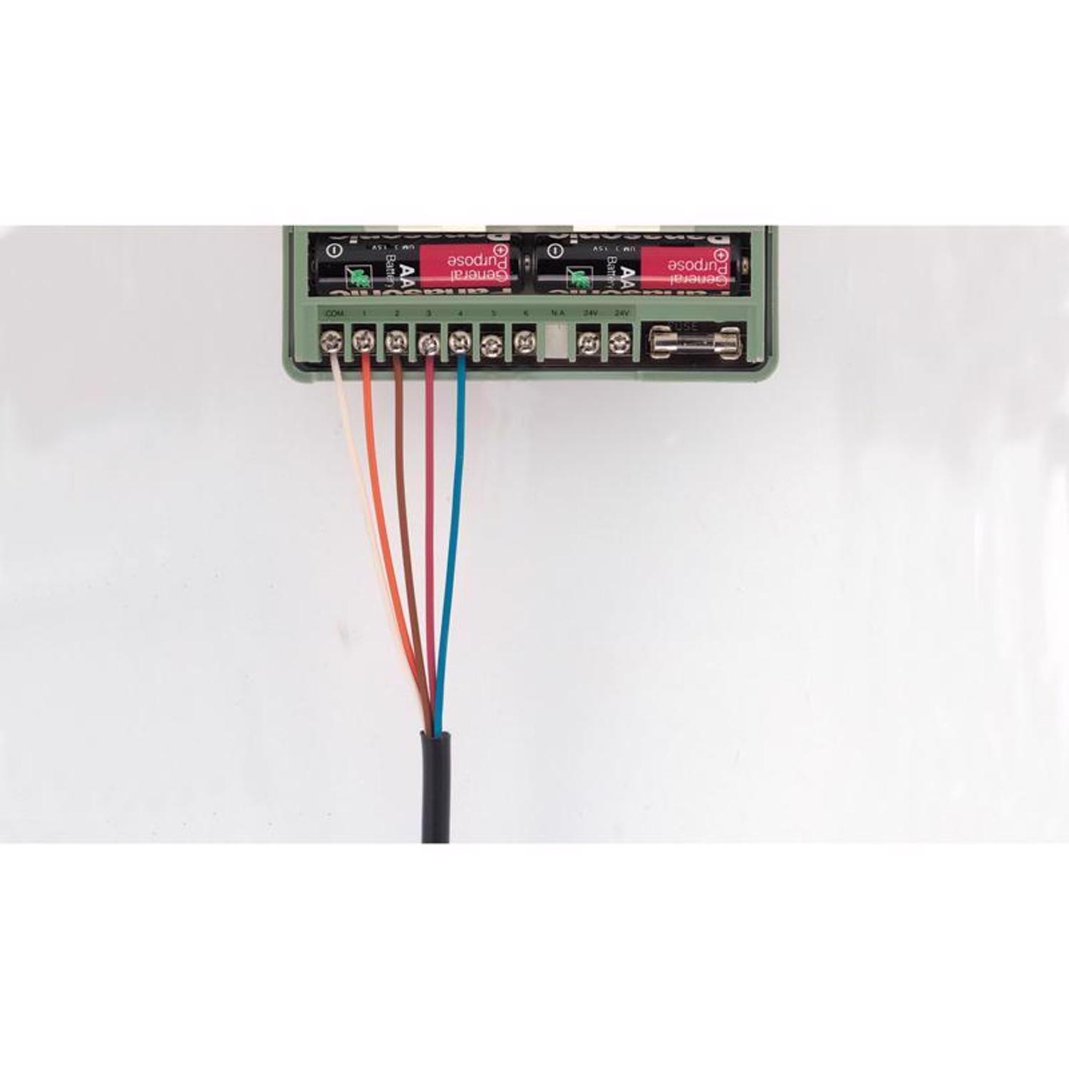 image-2