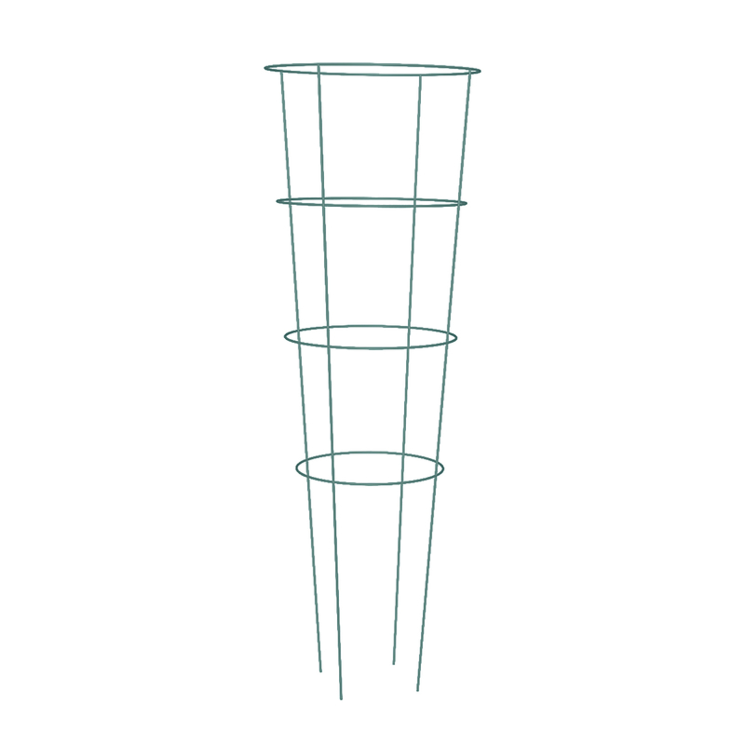 image-2