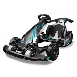Segway Pro 2 Unisex Go-Kart