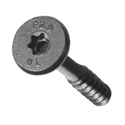 FastenMaster HeadLok 2-7/8 in. L Torx Ttap Coarse Structural Wood Screws