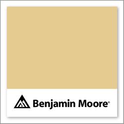 Benjamin Moore Warm & Toasty CSP-915