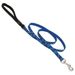 LupinePet Original Designs Multicolor Dapper Dog Nylon Dog Leash