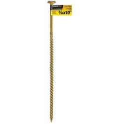 PowerPro 5/16 in. X 10 in. L Star Carbon Steel Lag Screw 1 pk
