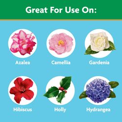 Miracle-Gro Powder Acid-Loving Plants of Azalea, Camellia, Rhododendron Plant Food 5 lb