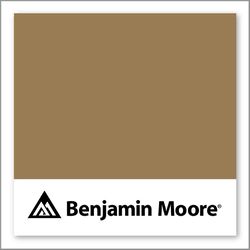 Benjamin Moore Iced Coffee CSP-985
