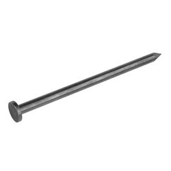 Grip-Rite 8D 2-1/2 in. Common Bright Steel Nail Flat Head 50 lb