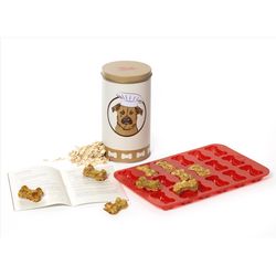 Kikkerland Kobe Grain Free Treat Jar For Dogs 1 pk