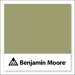 Benjamin Moore Fraser Fir 503
