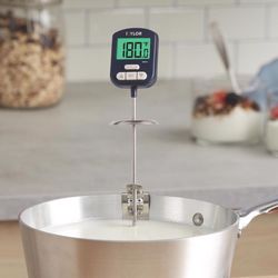 Taylor Instant Read Digital C Candy Thermometer