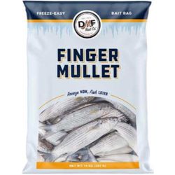 DMF Bait Fishing Bait