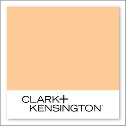 Clark+Kensington Cantaloupe Slice 14C-4