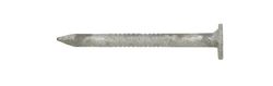 Ace 1-1/4 in. Joist Hanger Hot-Dipped Galvanized Steel Nail Flat Head 5 lb