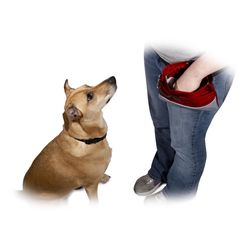 PetSafe For All Pets Red Nylon Sport Treat Pouch Medium 1 pc