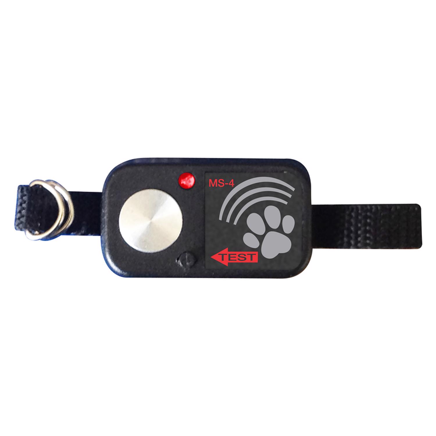 image-2