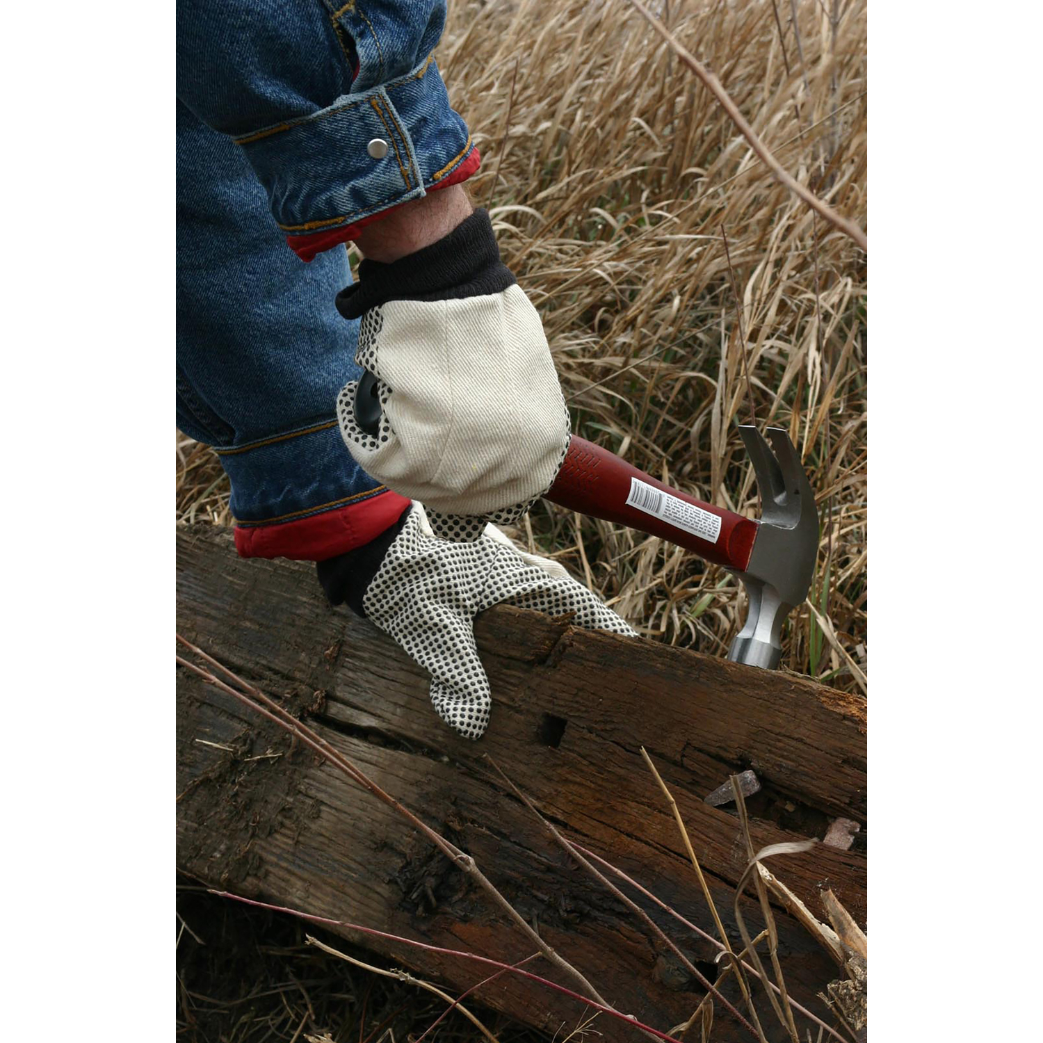 image-2