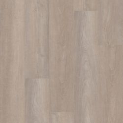 Shaw Floors Stoneybrook 7 in. W X 48 in. L Ash Vinyl Plank Flooring 27.73 sq ft