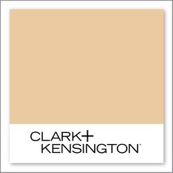 Clark+Kensington Just a Mirage 15B-3