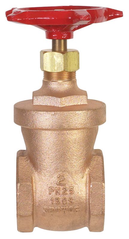 image-1