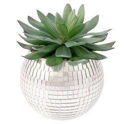 Karma 5 in. H X 4 in. L Silver Glass/Plastic Disco Succulent Pot