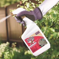 Bonide Mite-X Organic Insect Control Liquid 32 oz